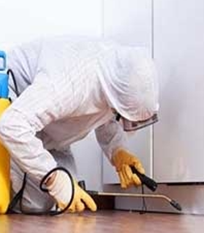 Our Services